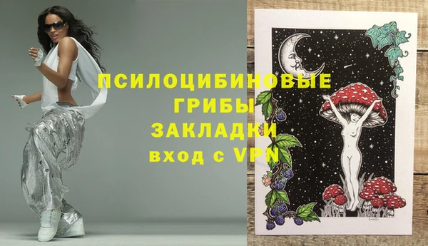 гашишное масло Краснослободск