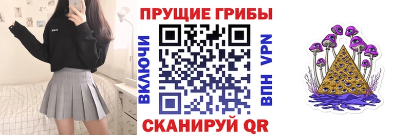 даркнет состав  Хадыженск  Галлюциногенные грибы MAGIC MUSHROOMS 