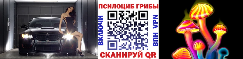 Галлюциногенные грибы GOLDEN TEACHER Хадыженск